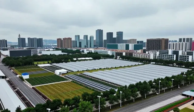 软件技术咨询:注重成本控制的两种做法比较